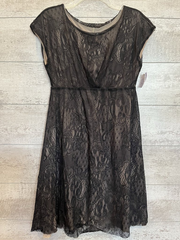 Lace Dress