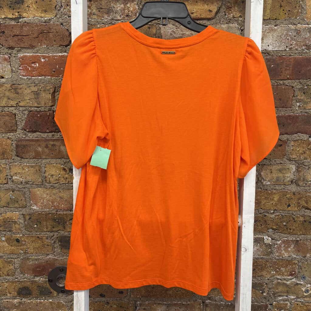 Chiffon Slv Top