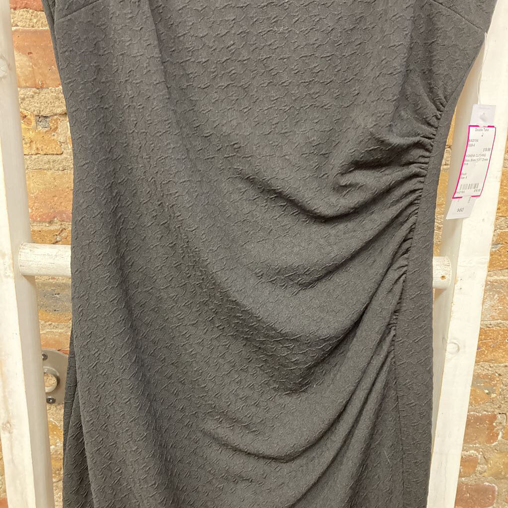 NWT Dress Slvls