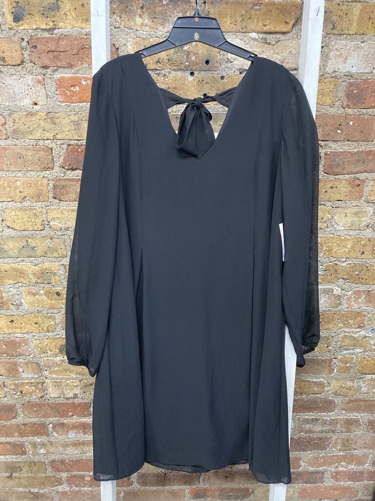 NWT Dress Vneck LS Solid