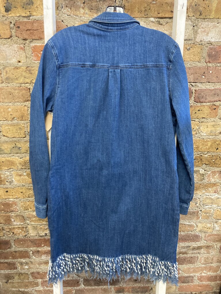 Denim Dress BD Fringe