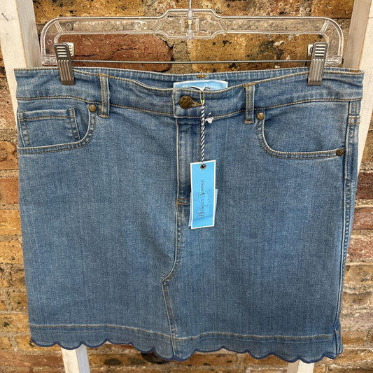 NWT Denim Skirt