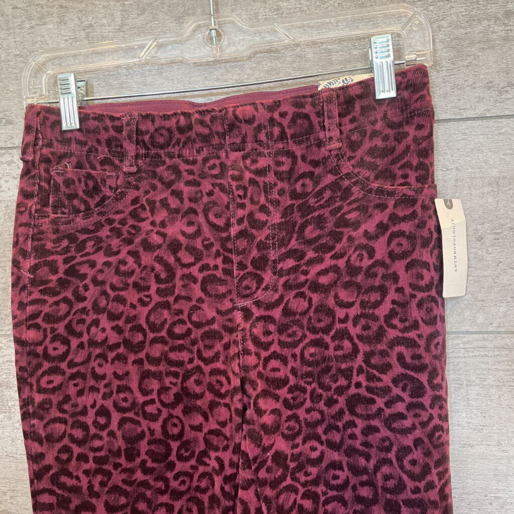 NWT Leopard Print Pants