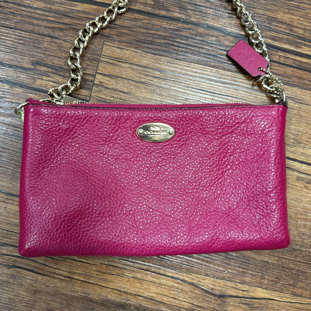 Crossbody Purse with Chain