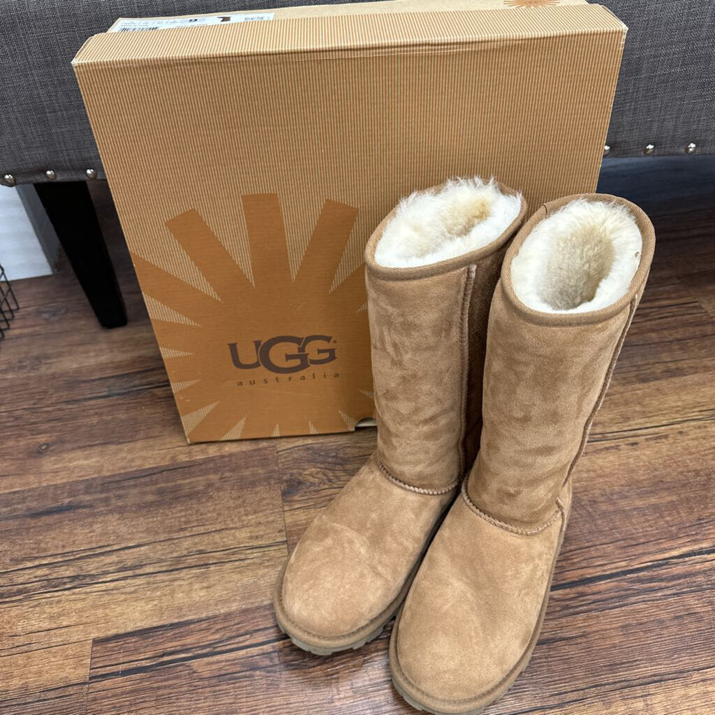 Suede Boots Ugg