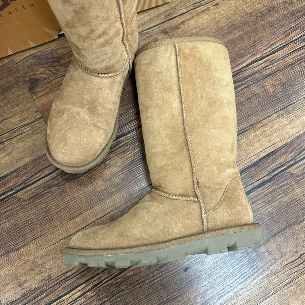 Suede Boots Ugg