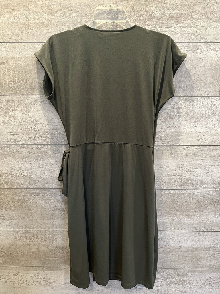 NWT Dress SS