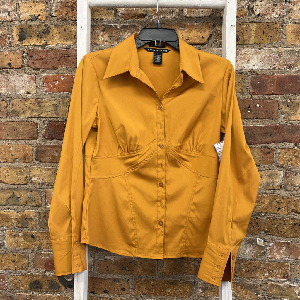 BD Shirt Collar