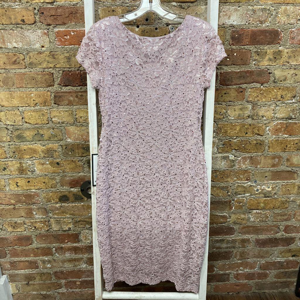 NWT Dress Lace/Sequin