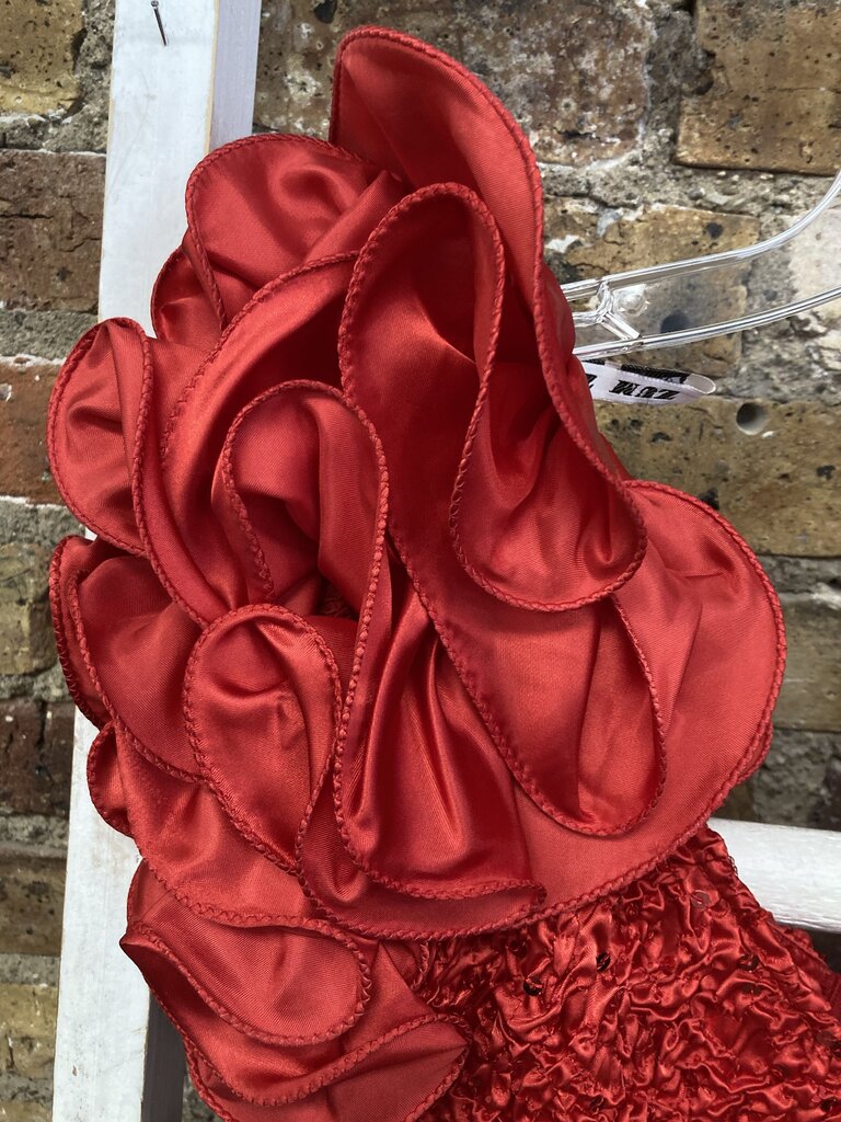 NWT Dress Formal