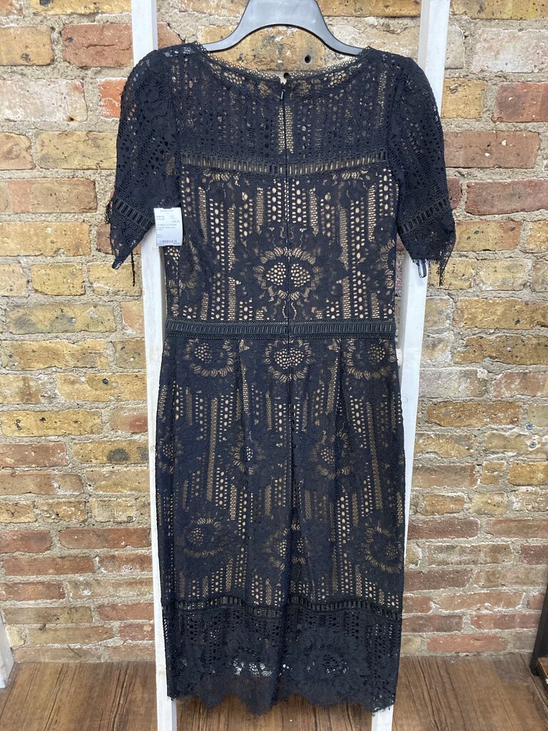 Lace Dress