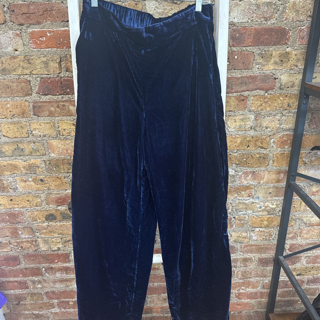 NWT Pants Velour