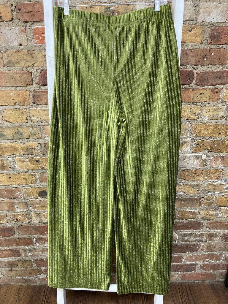 NWT Velvet Shimmer Pants