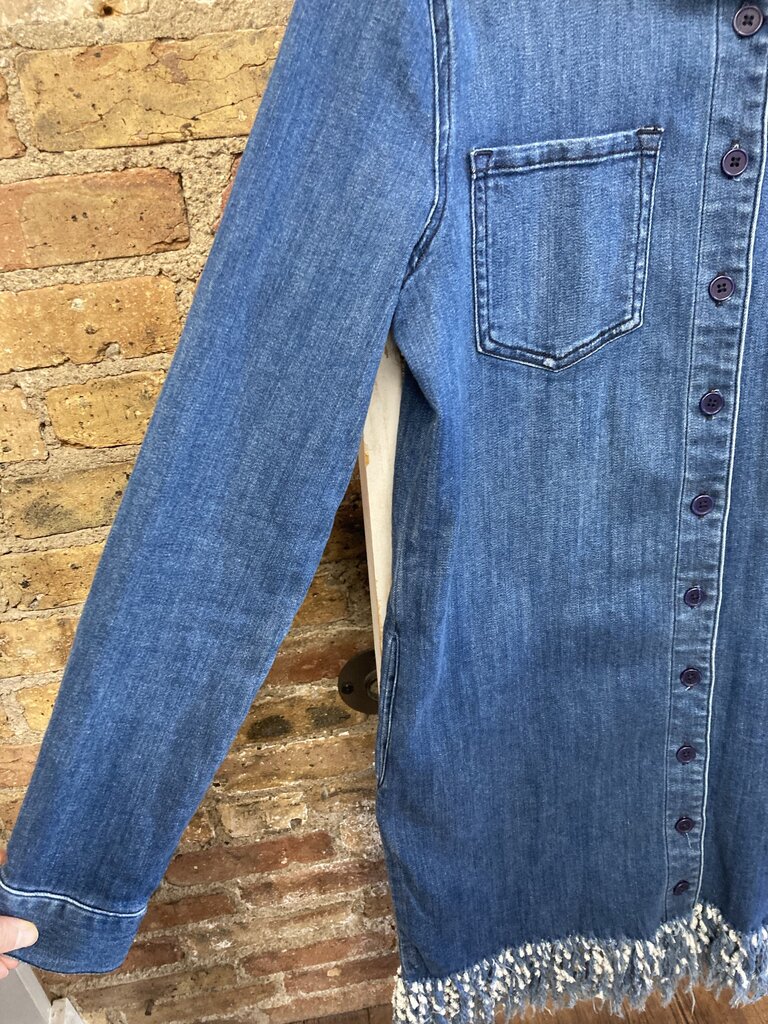 Denim Dress BD Fringe