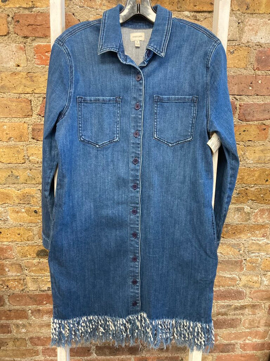 Denim Dress BD Fringe