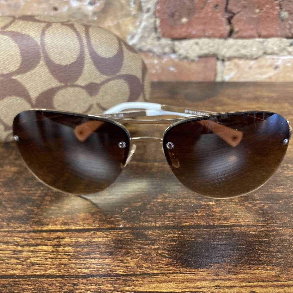 Sunglasses Aviator and Case