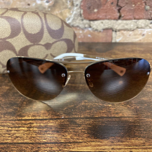 Sunglasses Aviator and Case