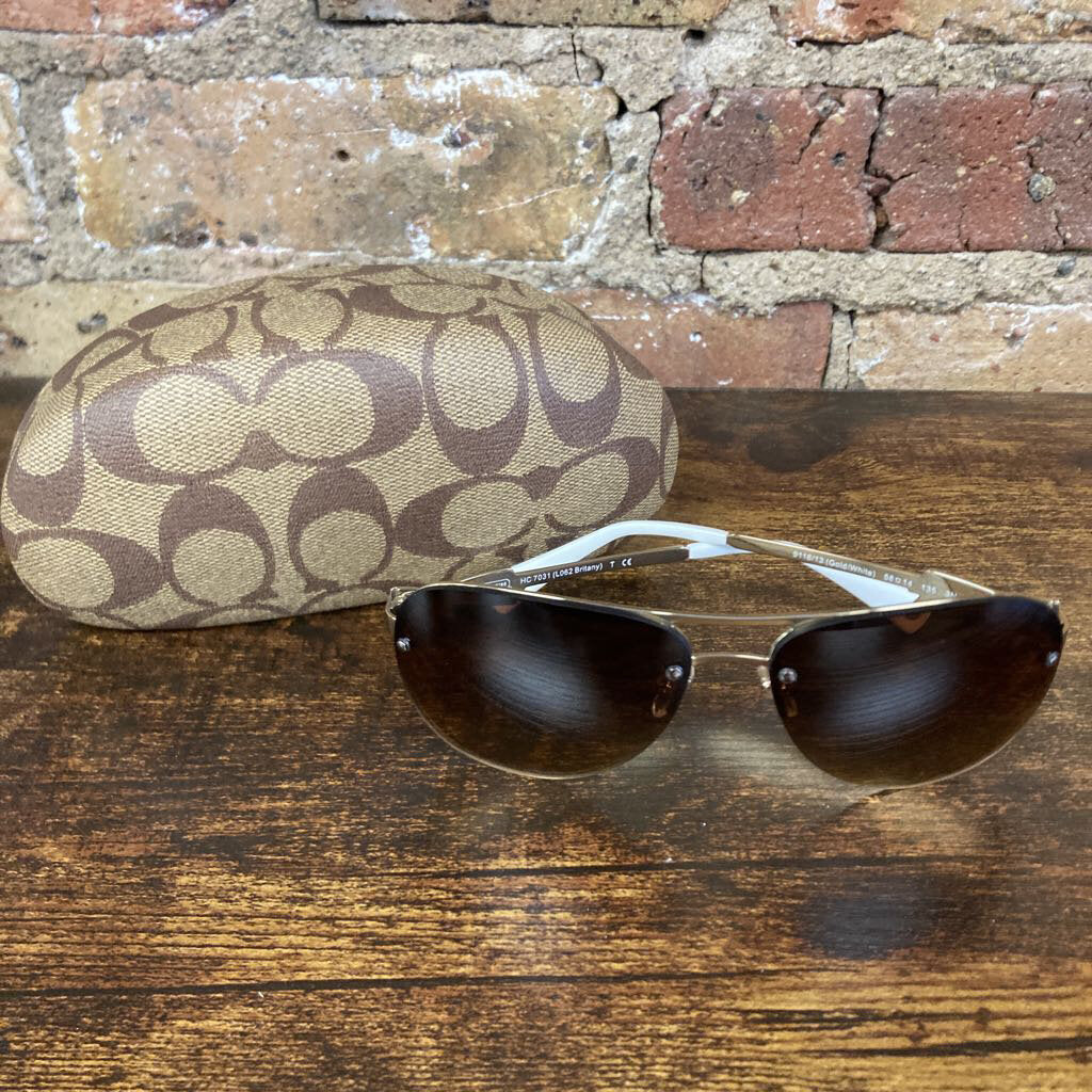 Sunglasses Aviator and Case