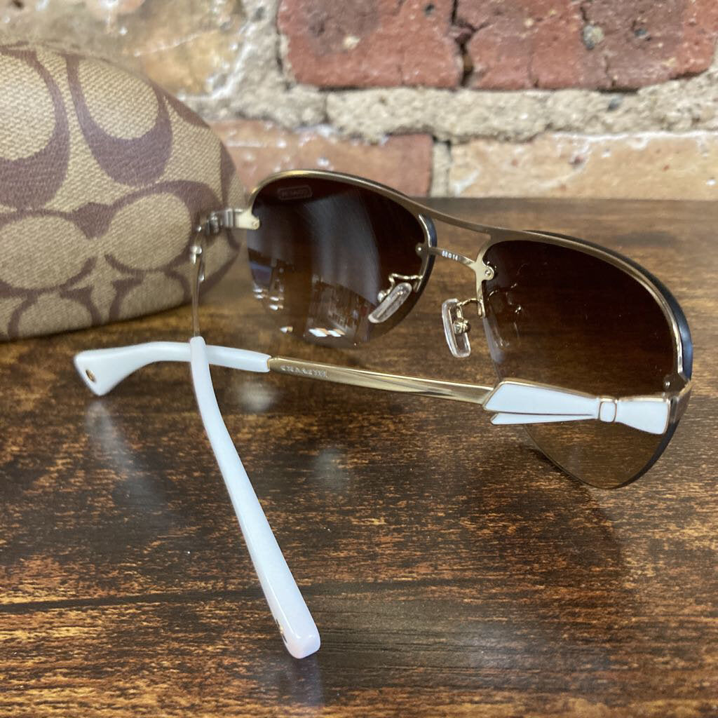 Sunglasses Aviator and Case